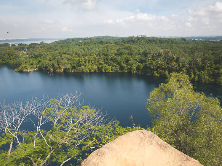 Overlooking view of the wetlands and greenery at Pulau Ubin