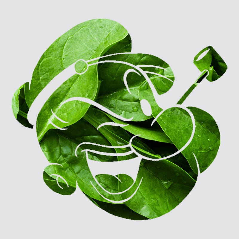 Debunking spinach, one Popeye at a time Debunking spinach, one Popeye at a time