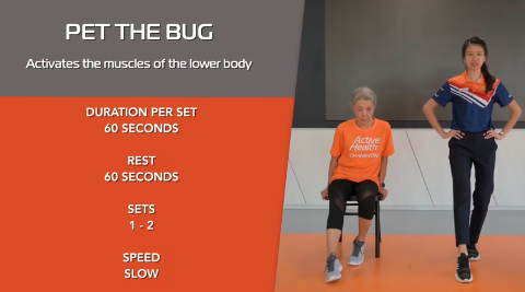 Simple Stretching for Seniors Ep 1 - Pet the Bug Thumbnail