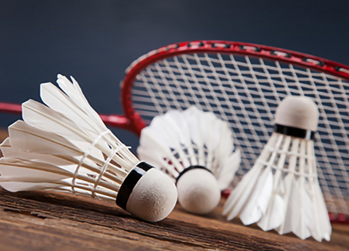 sports-badminton-thumb
