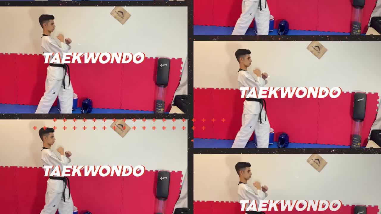 Introduction to Taekwondo